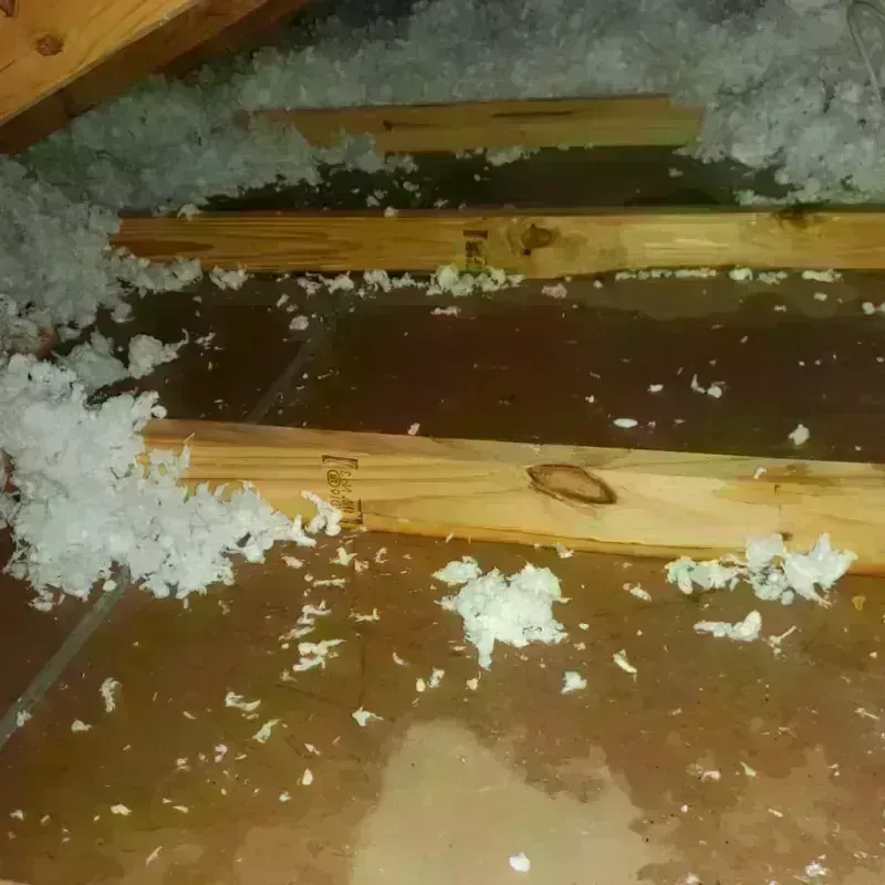 Attic Water Damage in Buffalo, IA