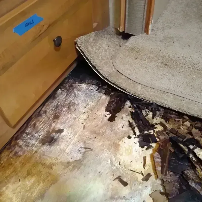 Wood Floor Water Damage in Buffalo, IA